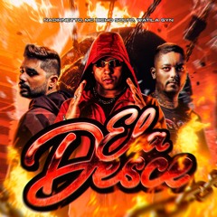 NADIRNETTO, WATILAGYN, MC BICHO SOLTO - ELA DESCE