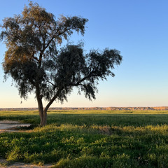 مزج || هل للارض ضرورة عينيك