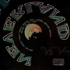 Vvs Vion - Neverland Hut