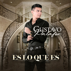 Es Lo Que Es (feat. Los De Guamuchil)