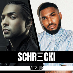TEMPERATURE x SABÍA QUE NO (SCHRΞCKI Mashup) - SEAN PAUL x REEZY (FREE DOWNLOAD)