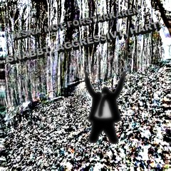 Willy Brown And The Mushroom Men