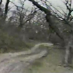 только61009