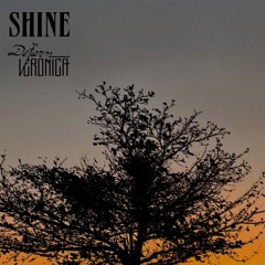 Shine
