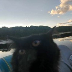 The Scary Jokes - Sweet Melody