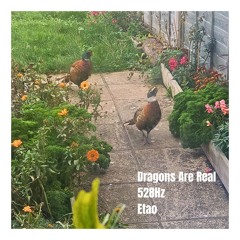 Dragons Are Real 528Hz