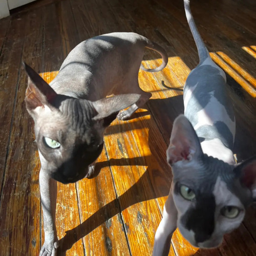 send em home (raining)