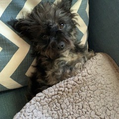 Little Girl(You're My Miss America) Ft. Jordan Scott & Brandon Todd