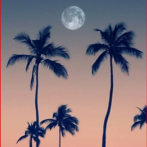Paradise- Quoya, Jaisek prod. brandybuck beats