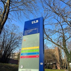 Synthèses à l'ULB : entraide ou illusion ?