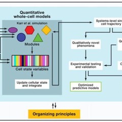 virusdies - room zero (reupload)