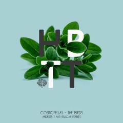 CosmicFellas - The Birds (Andruss Remix) [15TH MARCH]