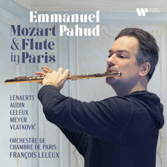 Concerto for Flute and Harp, K. 299: II. Andantino