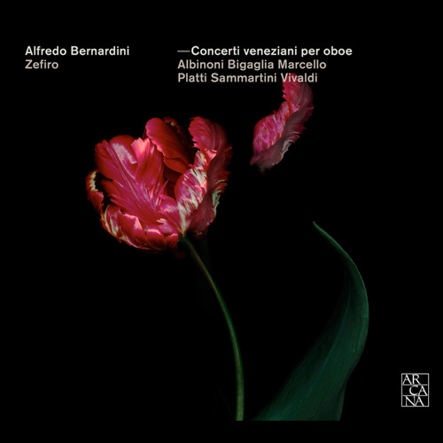 Oboe Concerto in G Minor, Op. 11 No. 6, RV 460: I. Allegro non tanto