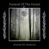 下载视频: Funeral Of The Forest