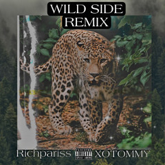 WILDE SIDE REMIX