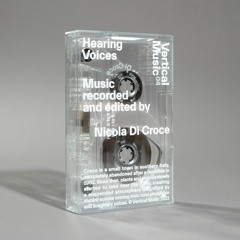 Nicola Di Croce - Hearing Voices (Excerpt)