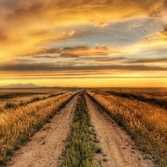 JOHN DENVER - Take Me Home, Country Roads