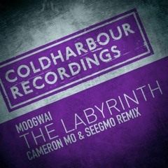 Moogwai - The Labyrinth (Cameron Mo & Seegmo Extended Remix)