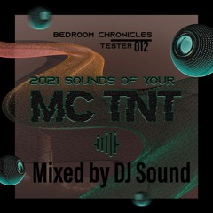 Bedroom Chronicles - Tester 012 - DJ Sound, MC TNT - 24 02 2021