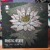 Artwork for Mystic State - The Last Lotus (12" Vinyl Showreel)