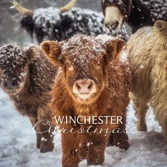 Winchester Christmas