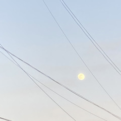 Autumn leaves 연습