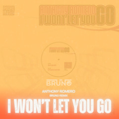 Anthony Romeno - I won't let you go (BRUN0 edit)