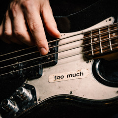 Too Much (Dance Punk)