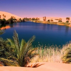 Oasis