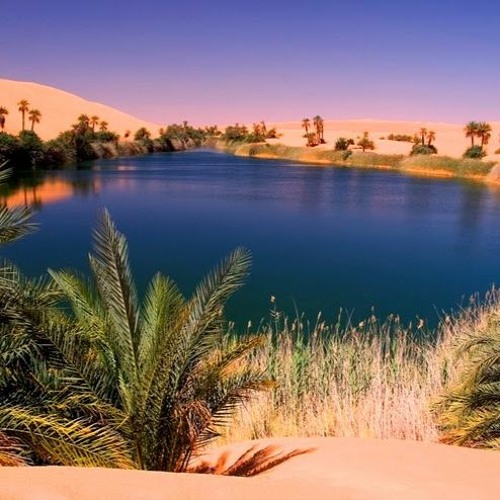 Oasis
