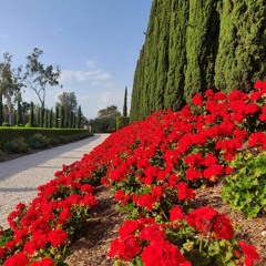 Layli SYDNEY ISGP 2022