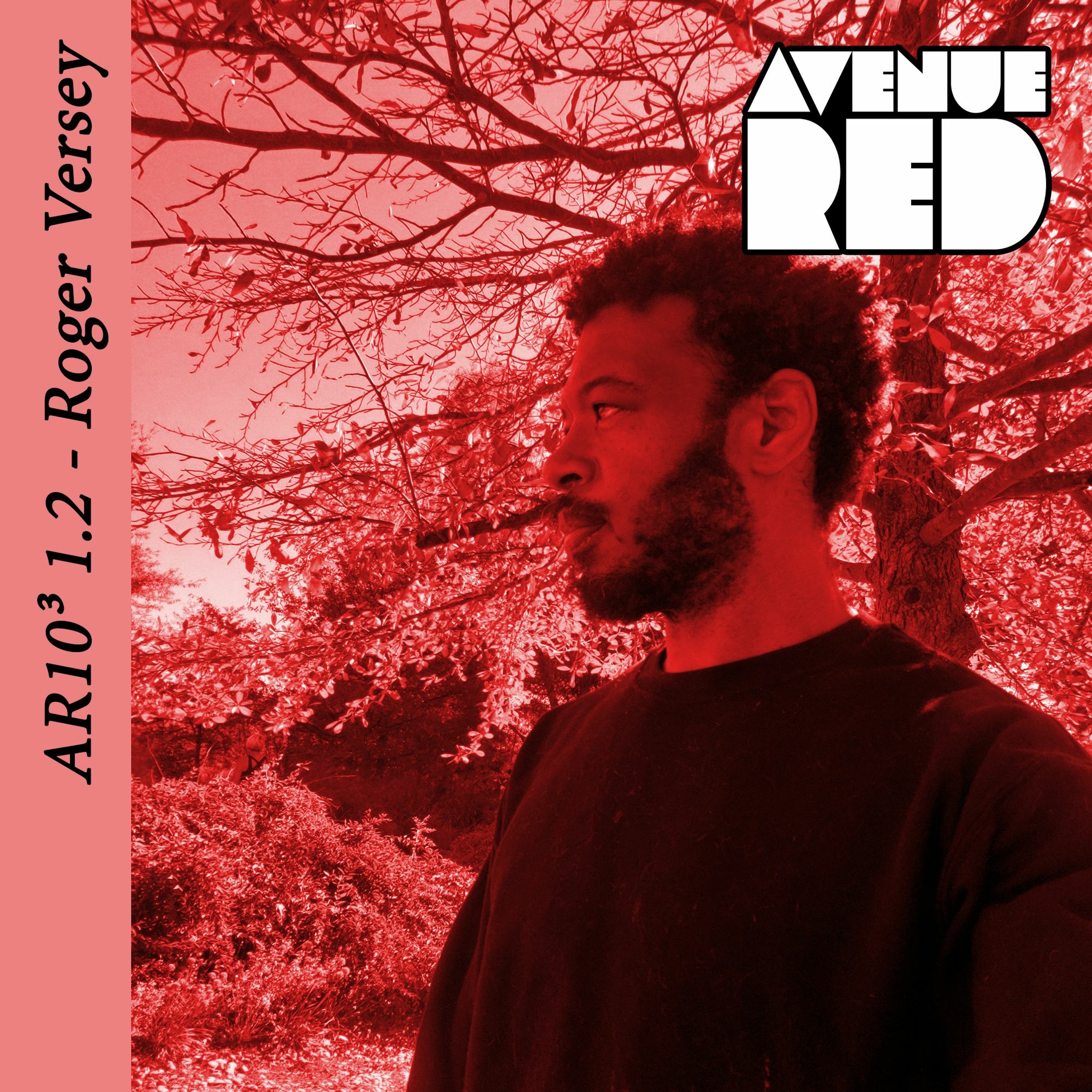 AR10³ 1.2 - Roger Versey