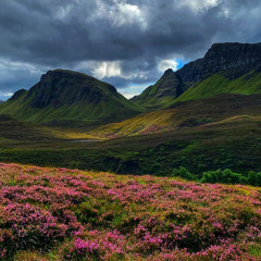 Misty Morning (Demo)