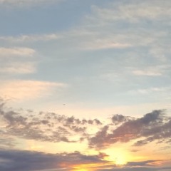 Shruti A-Tibetan bowl-intuitive vocals .m4a