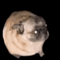 Mops Dance