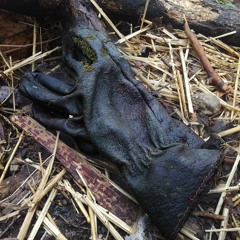 Glove Which Touched The Moss