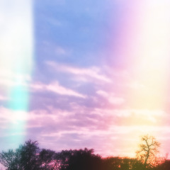 Mango Habenero Freestyle