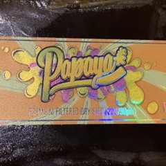 LUCIO101~ ALLES WIE IM FILM