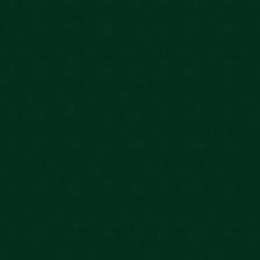 EVERYTIME (LEMON PEPPER FREE FREE)