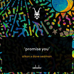 *TASTER CLIP* Aikon x Dave Seaman - Promise You (Extended Edit)