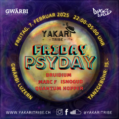 Druidium@ Friday Psyday ¦ Februar 2025