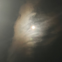 Weather of the Heart