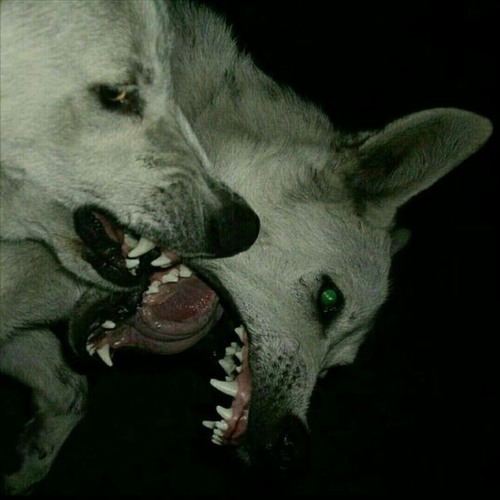 ‎