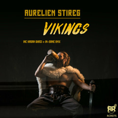 Aurlien Stireg - Vikings (IN-sane Remix)