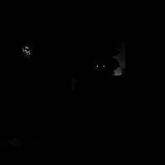 pustelnik - chistota