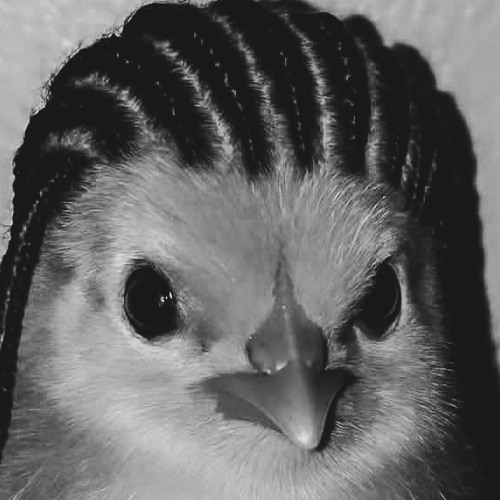 TECHNITE #3 - TROPICAL BACK TO SCHOOL