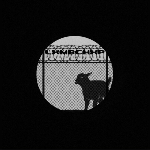 Lamb In The Jungle