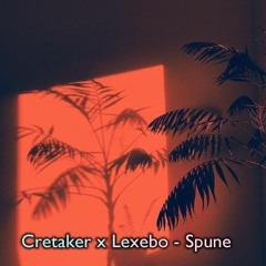 Cretaker x Lexebo - Spune (snippet)