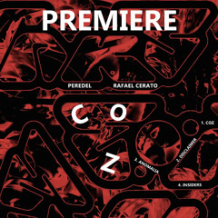 Rafael Cerato, Peredel - Disclaimer